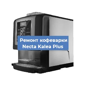 Чистка кофемашины Necta Kalea Plus от кофейных масел в Новосибирске